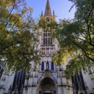 Du ciel bleu à Lille (‼️) = couleurs d'automne sur l'architecture, les arbres et @mai_lv
